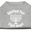 Hanukkah Pet Dog & Cat Shirt Screen Printed, "Spoiled for Eight Days"