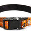 Halloween Pet Collar