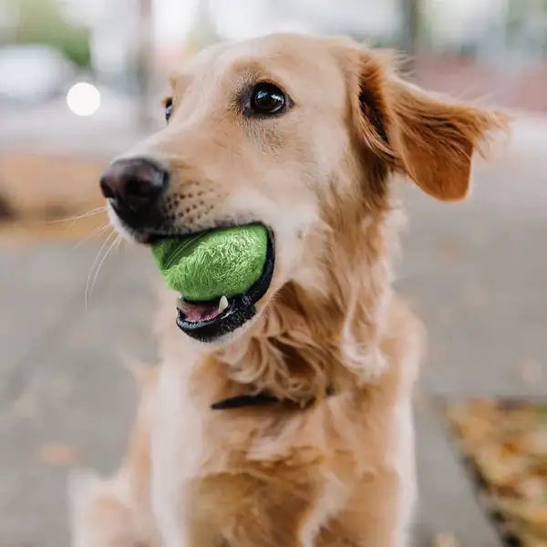 HappyPet Ball