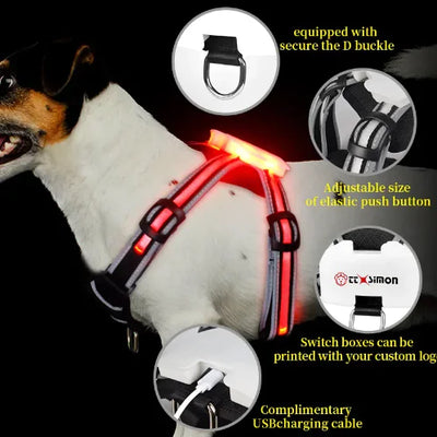 LED Luminous Dog Harness – Rechargeable, Waterproof, Adjustable Anti-Lost Collar