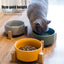 Ceramic Raised Cat Bowl With Wood Stand