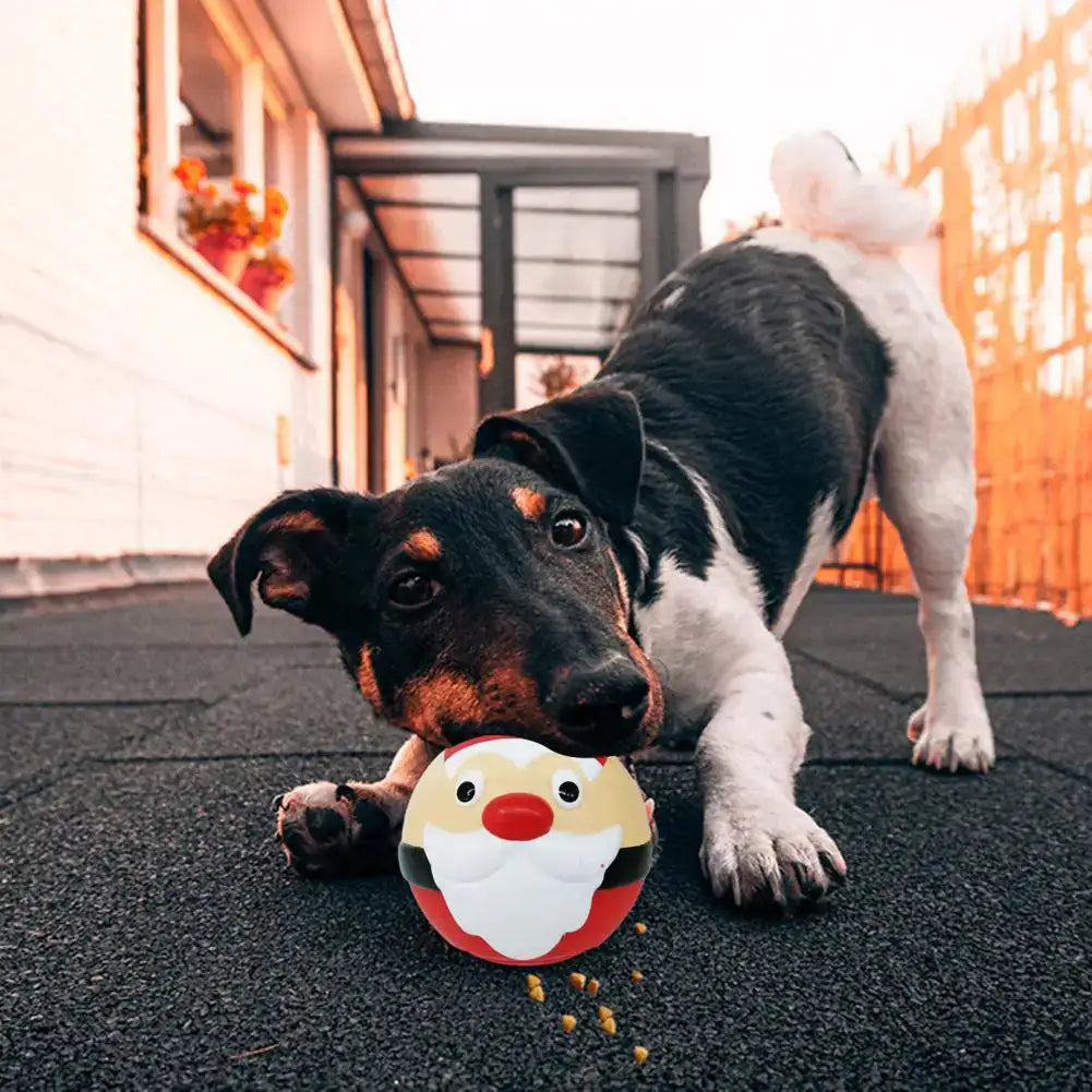 Dog Chew Leak Ball Toy Santa / Snow Man