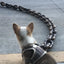 Plastic Thick Dog Leash Large Iron Chain Hand Holding Rope