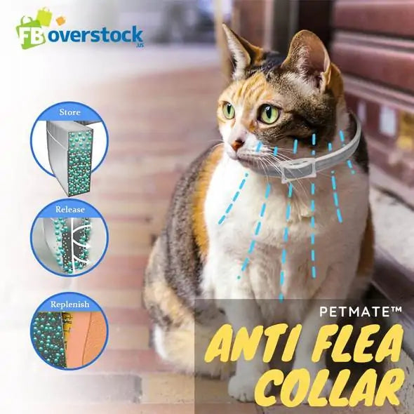 Petmate Anti Flea Collar Small to Medium Dog