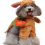 Pet Products Clothing