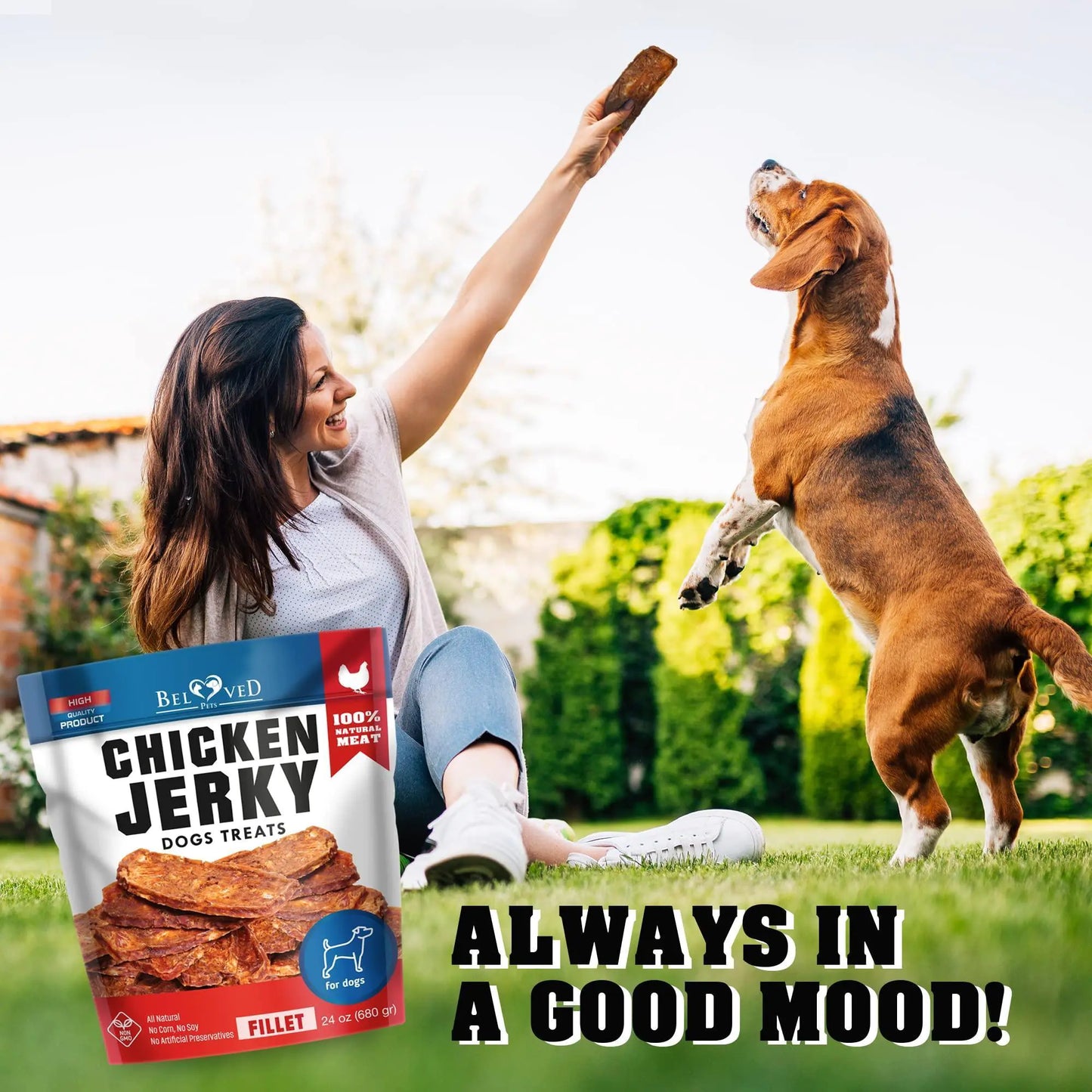 Chicken Jerky Dog Treats 1.5 Lb Human Grade Pet Snacks Grain Free Dried Strips