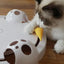 Fully Automatic Kitty Fun Toy